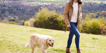 How a Daily Walk can Improve Your Dog's Health and Behaviour