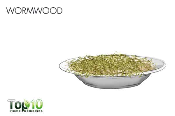 wormwood for tapeworms in dogs