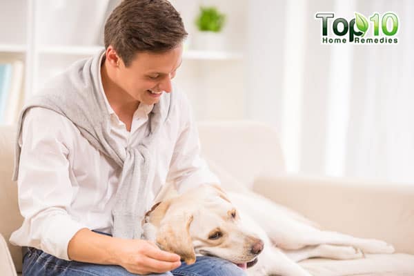 protect old dog from injuries