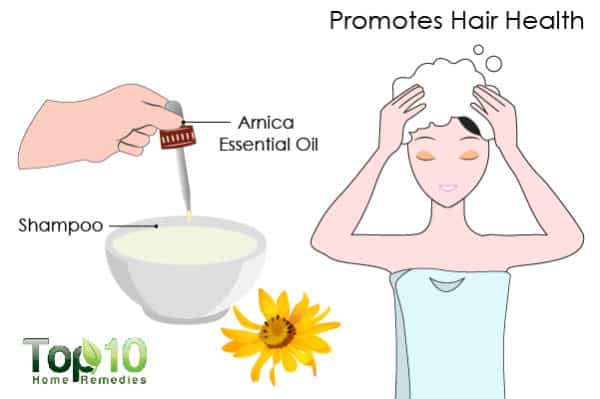 arnica promotes hair growth