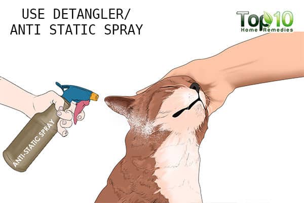 use detangler to deal with matted hair on your cat and dog