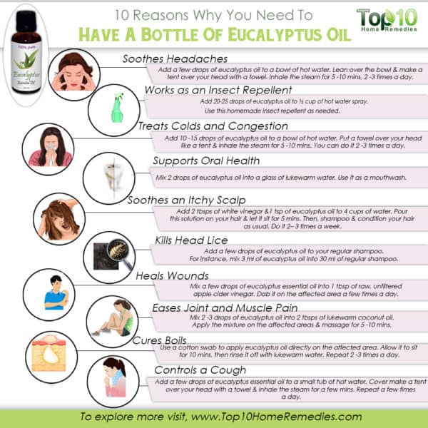 reasons why you should have eucalyptus oil at home