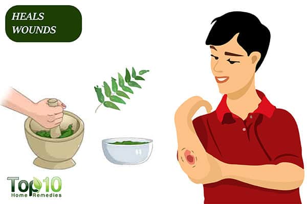 curry leaves help heal wounds