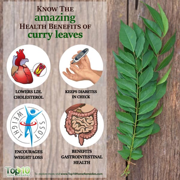 Know the Amazing 10 Health Benefits of Curry Leaves Top 10 Home Remedies