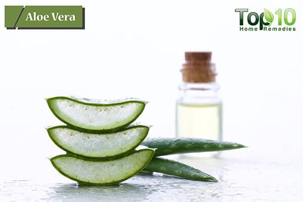 aloe vera to treat yeast infection during pregnancy