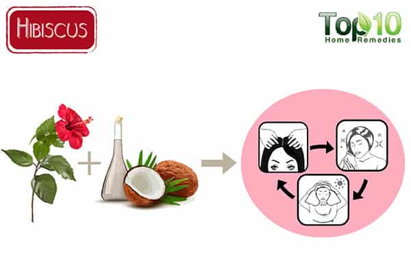 hibiscus for thinning hair