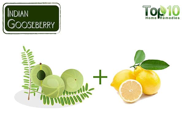 indin gooseberry for thinning hair