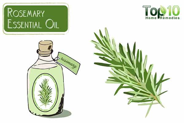 rosemary oil to stop thinning hair