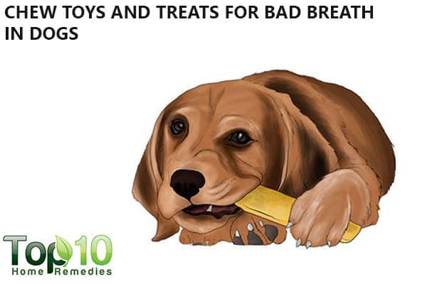 chew toys to reduce bad breath in dogs