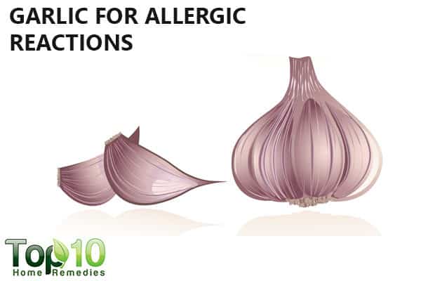 garlic for allergic reactions
