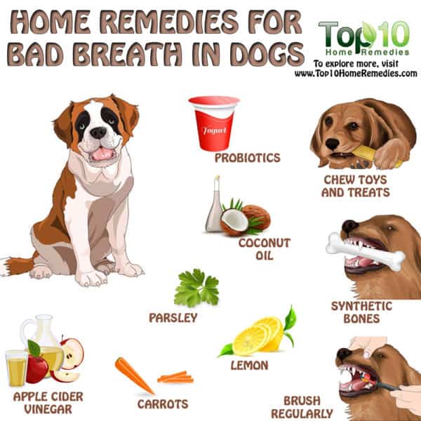 home remedies for bad breath in dogs