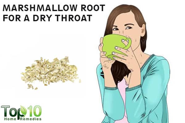 marshmallow root for dry throat
