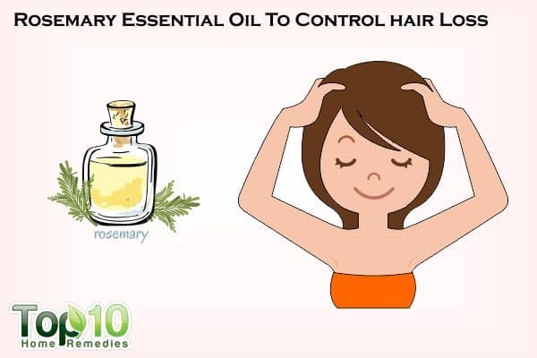rosemary for hair loss control
