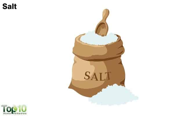 salt to treat flea infestation