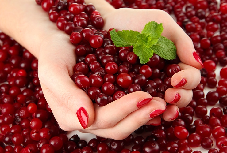 Why Cranberries are Good for You 10 Health Benefits and Facts Top 10