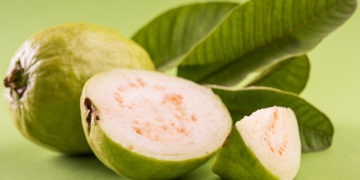 Health Benefits of Guava and Guava Leaves