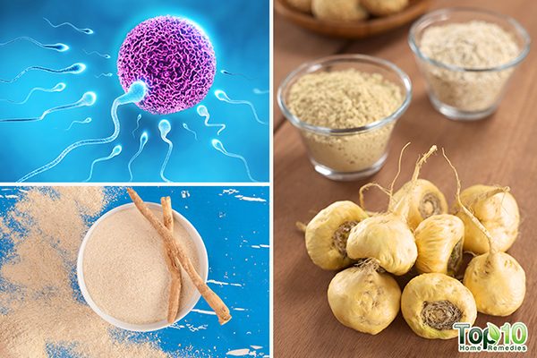 Home remedies to Increase Sperm Count
