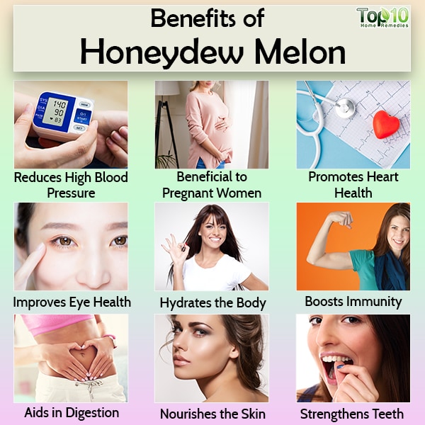 Honeydew Melon Origins, Nutritional Value and Health Benefits Top 10